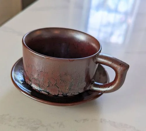 Customer photo review of Succulent Coffee Cup