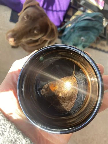 Customer photo review of Golden Leaf