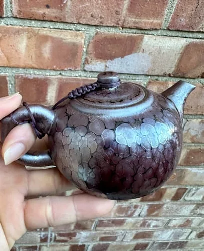 Customer photo review of Succulent Teapot