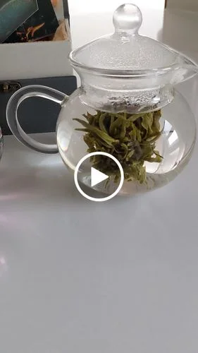 Customer video review of Vivid Peacock