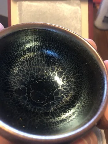Customer photo review of Jellyfish