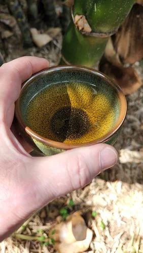 Customer photo review of Sunflower
