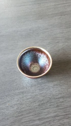 Customer photo review of Succulent