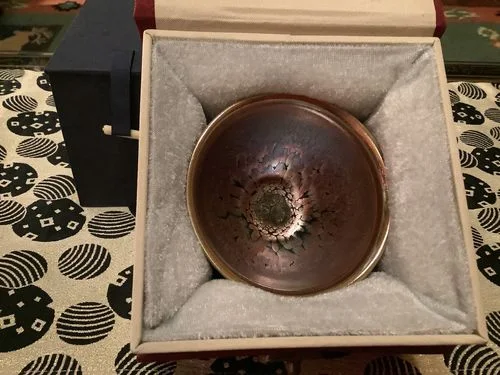 Customer photo review of Succulent