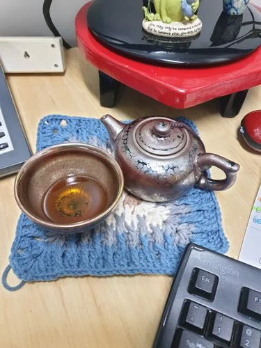 Customer photo review of Succulent Teapot