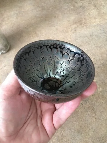 Customer photo review of Succulent