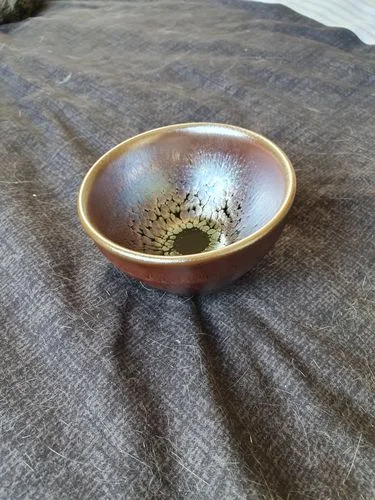 Customer photo review of Succulent